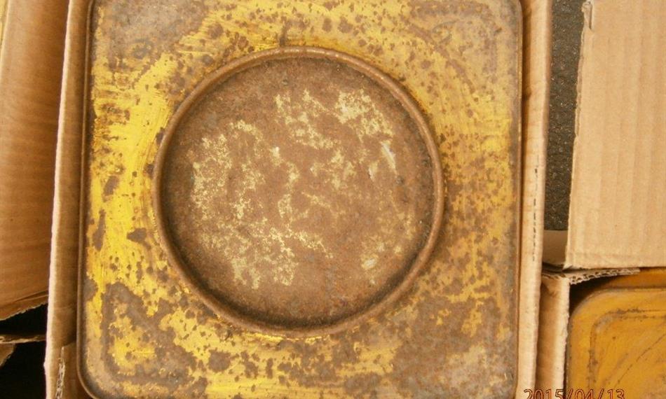 2015-4-20-1153Hostivař - bambus 2.jpg